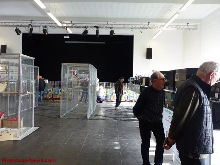 salon-oiseaux-25012631