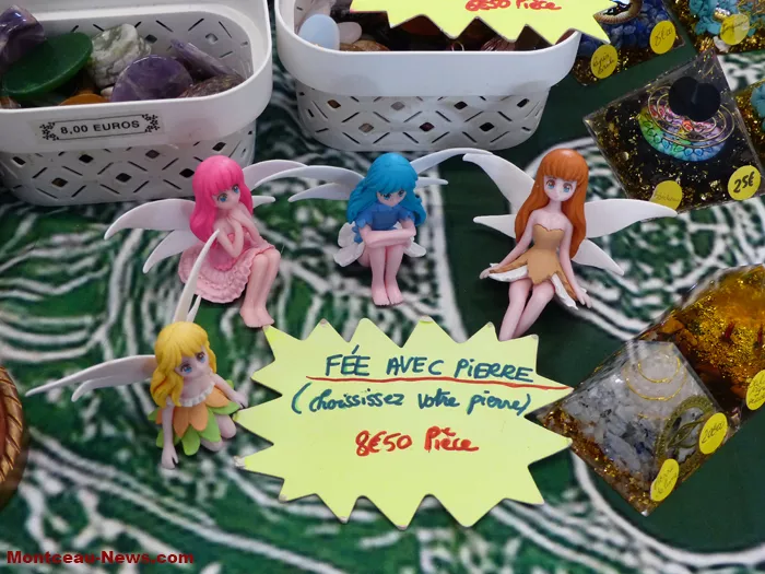 salon-oiseaux-25012647