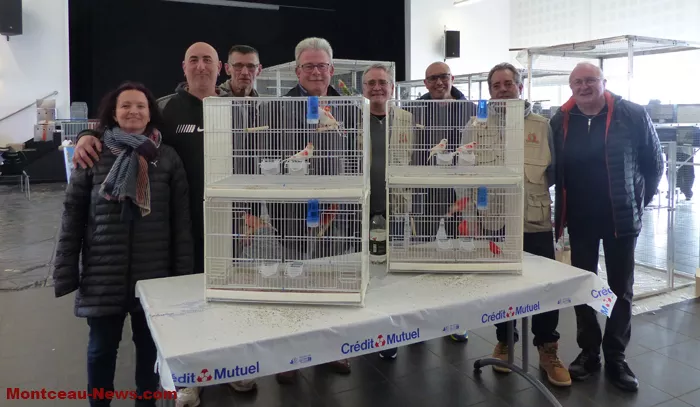 salon-oiseaux-25012659