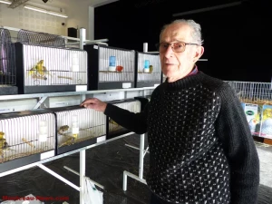 salon-oiseaux-25012661