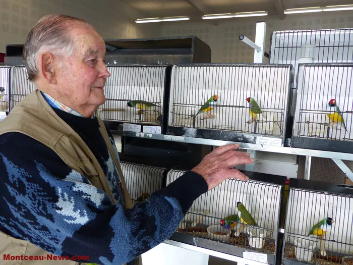 salon-oiseaux-25012663