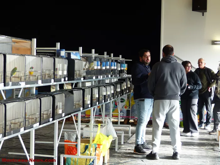 salon-oiseaux-2501267