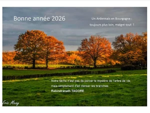 voeux-eric-meny-020126