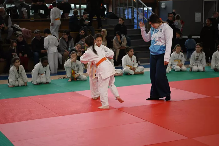 ad-judo-0402263