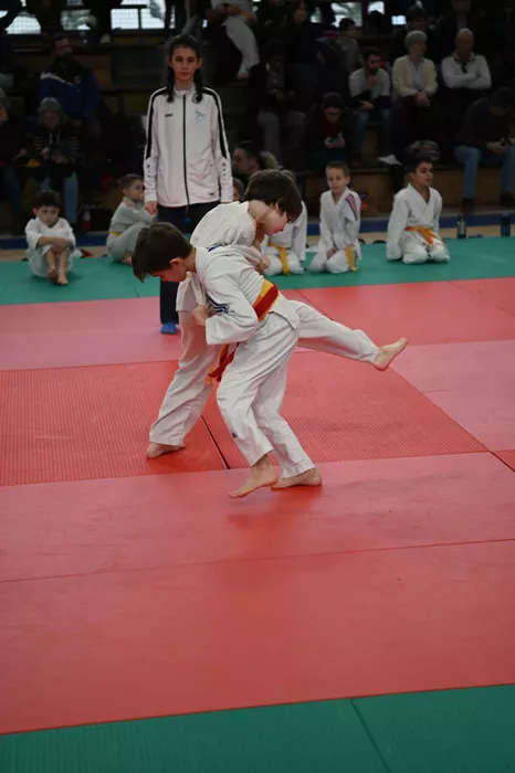 ad-judo-0402266