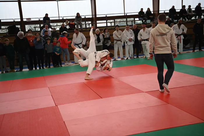 ad-judo-0402268