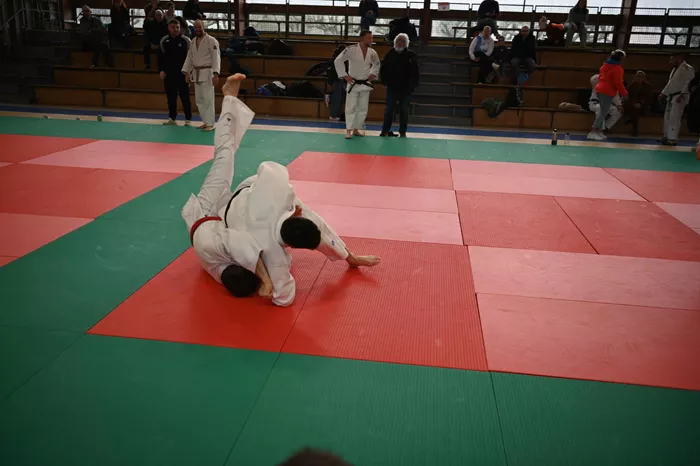 ad-judo-0402269
