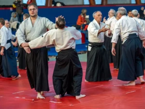 aikido-1102264
