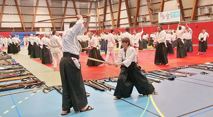 aikido-1102267