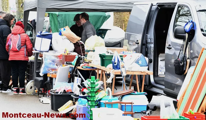 broc-bouquinerie-0202261