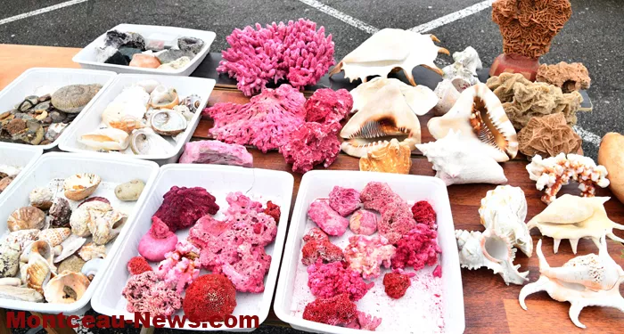 broc-bouquinerie-02022614