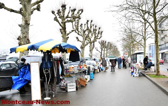 broc-bouquinerie-02022615