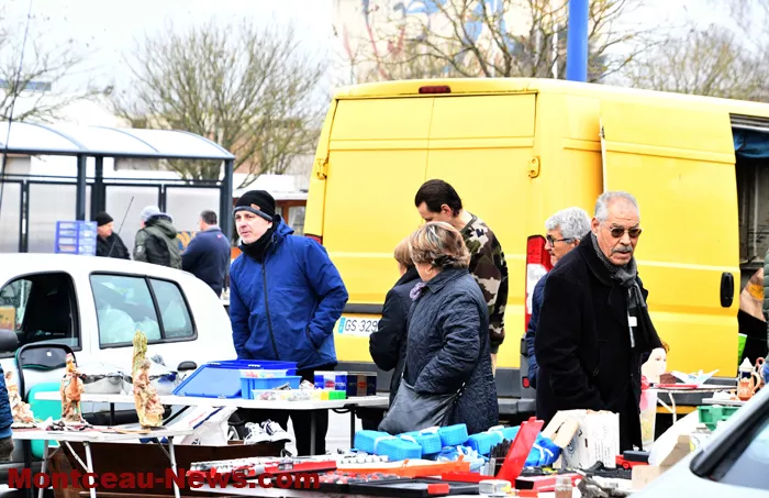 broc-bouquinerie-0202264