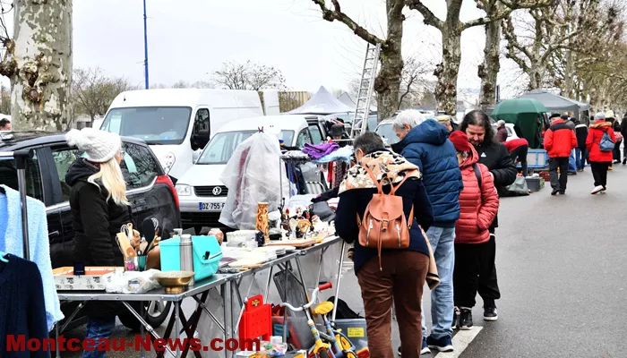 broc-bouquinerie-0202265