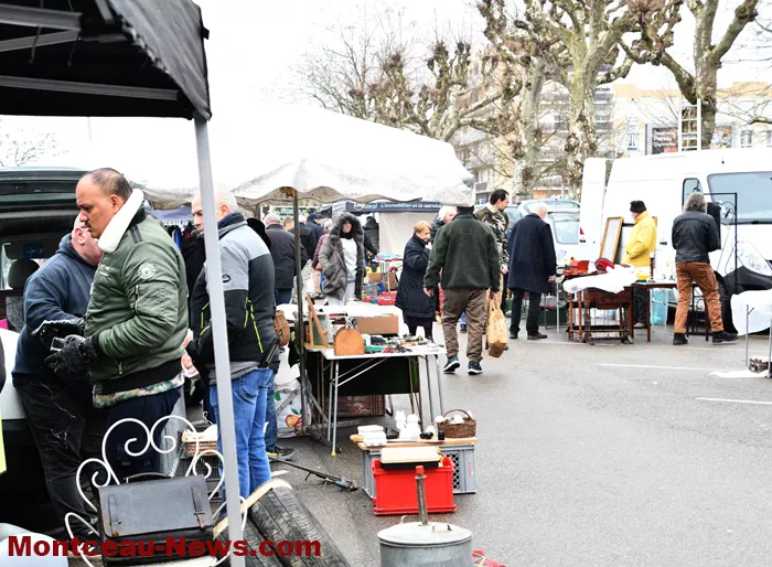 broc-bouquinerie-0202269