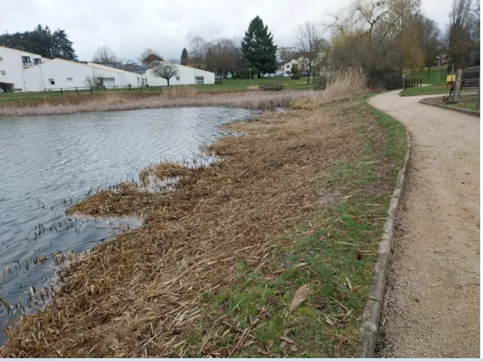 etang-garenne-1902262