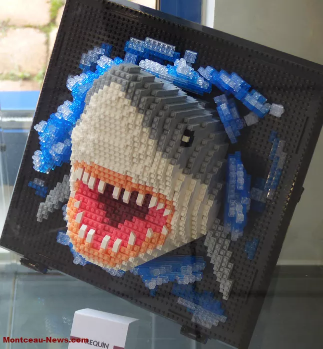 fete-livres-st-vallier-0102263