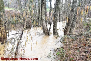Intervention conjointe pour la résolution d’une inondation à Saint-Vallier