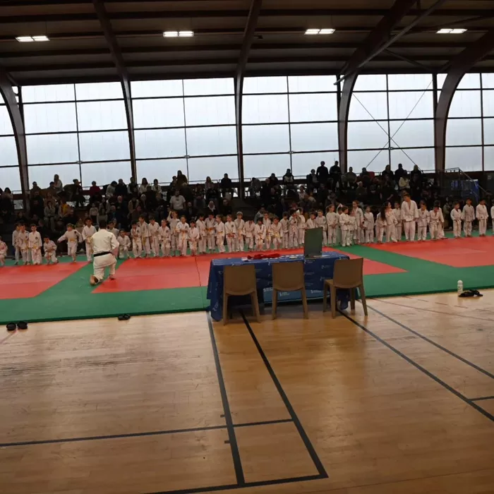 judo-0302264