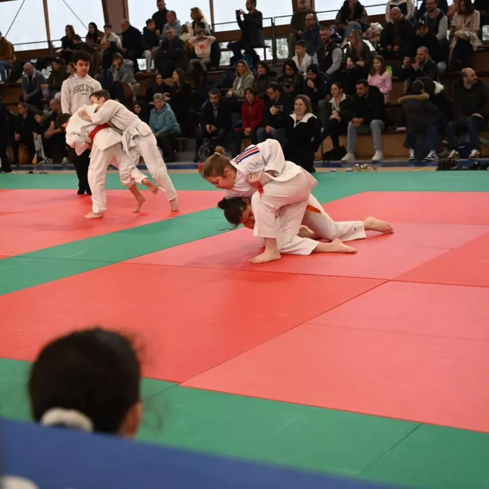 judo-0302267