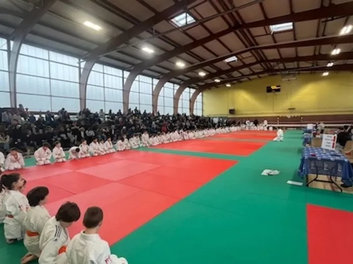 judo-0302268