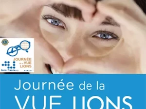 lions-vue-150226