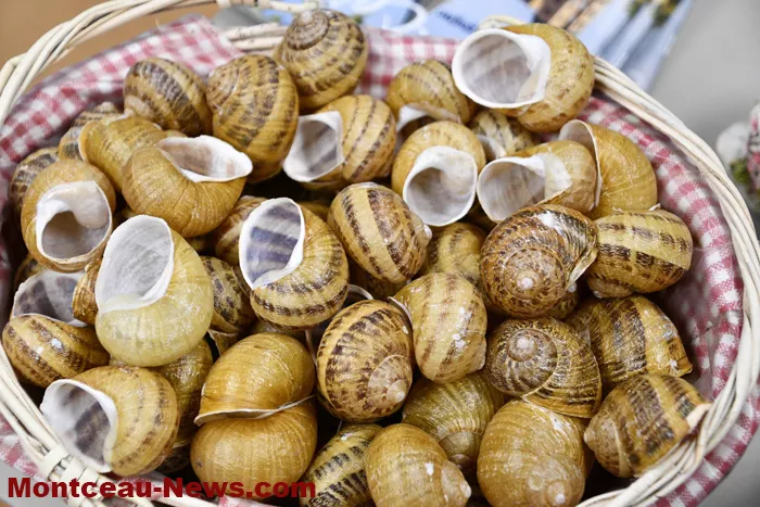 liste-politi-blanzy-1502269