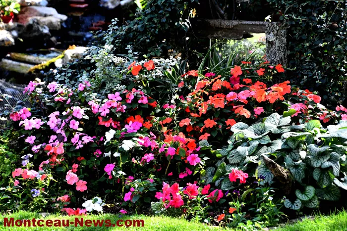 maisons-fleuris-montceau-06022612