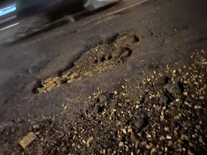 nid-poule-montceau-2502261