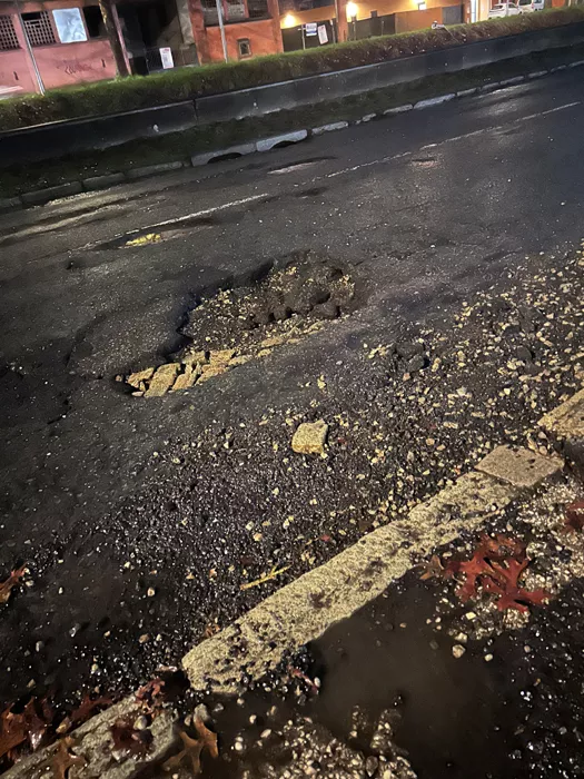 nid-poule-montceau-2502262