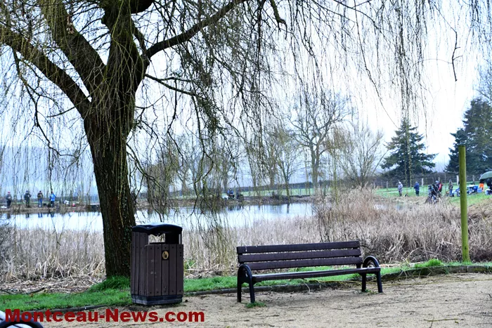 peche-tilleuls-2202261