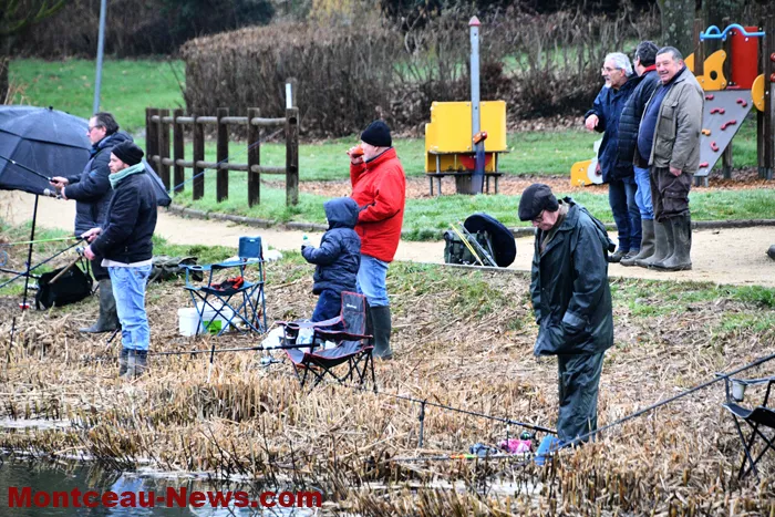 peche-tilleuls-22022611