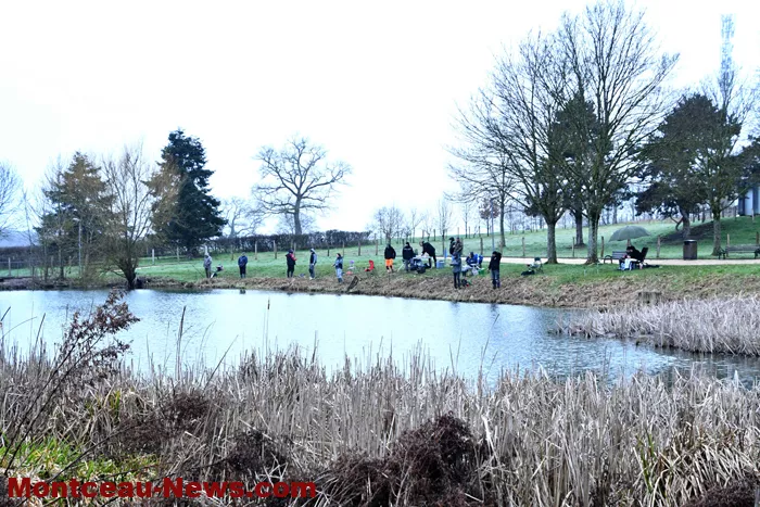 peche-tilleuls-2202262