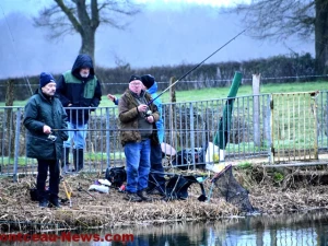 peche-tilleuls-2202264