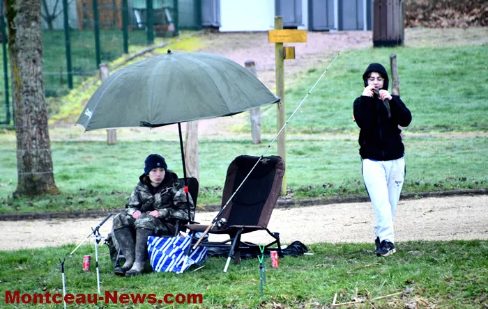 peche-tilleuls-2202267