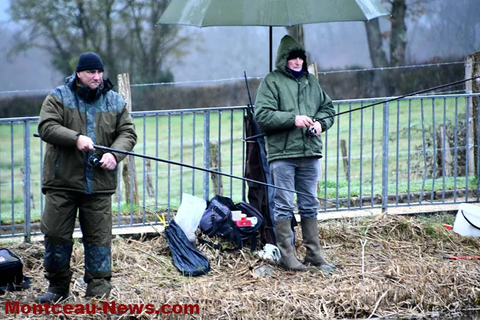 peche-tilleuls-2202268