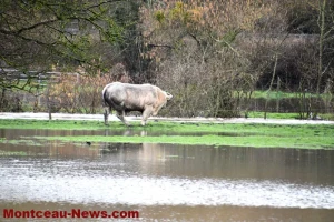  Gourdon – Saint-Vallier – en vigilance jaune