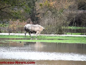 pluie-inondation-1602263
