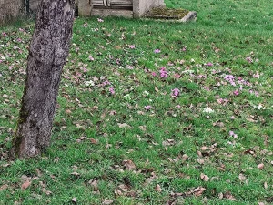 Montceau-les-Mines : Vu