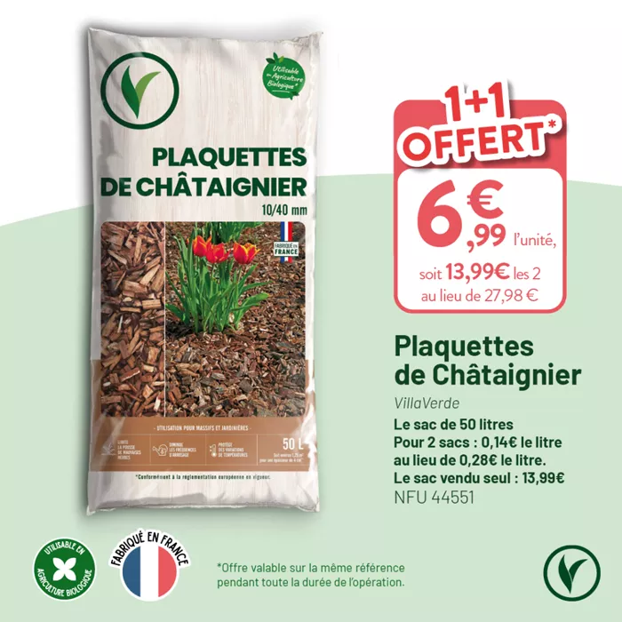 VILLAVERDE_OP_TERREAUX_RS_1080X1080_20251212_11