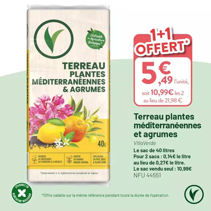 VILLAVERDE_OP_TERREAUX_RS_1080X1080_20251212_5