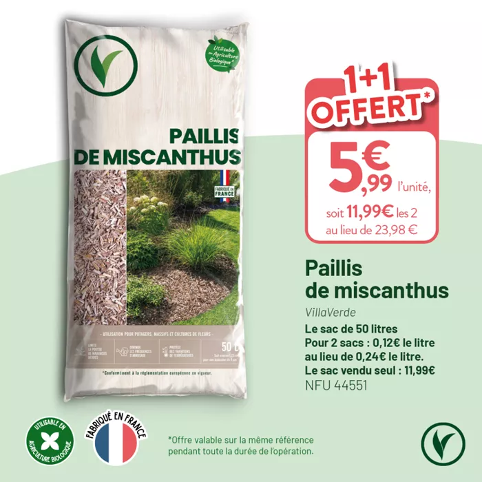 VILLAVERDE_OP_TERREAUX_RS_1080X1080_20251212_8 (1)