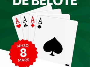 belotte-020326