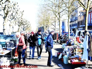 bouquinerie-02032611