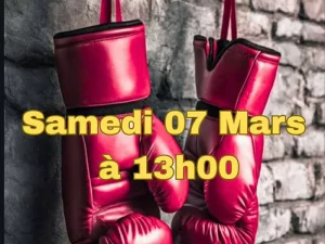 box-pouilloux-040326