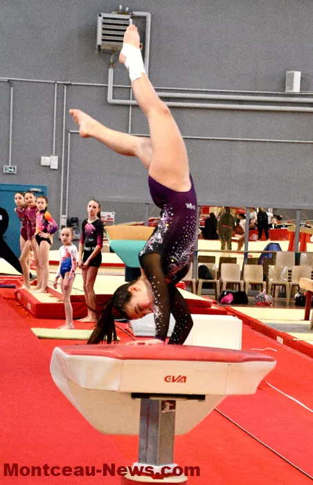 competition-gym-montceau-02032614