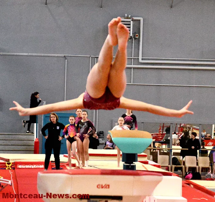 competition-gym-montceau-02032615