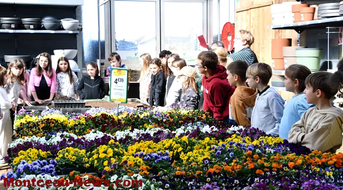 ecole-villaverde-1803274