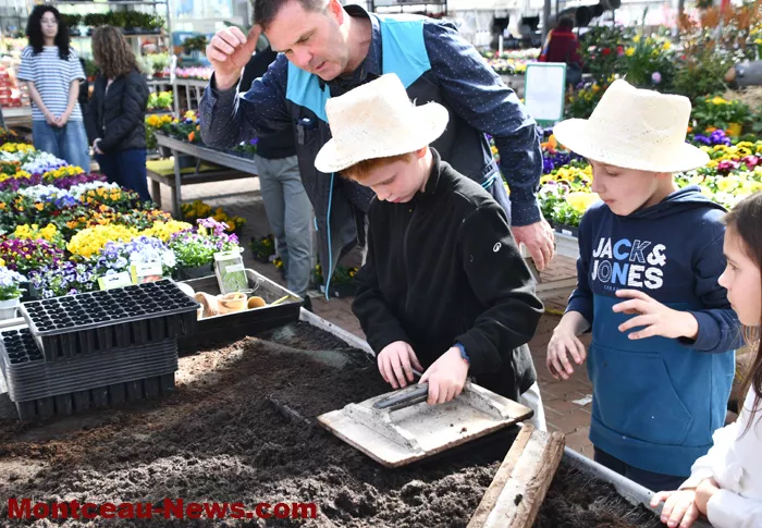 ecole-villaverde-1803278