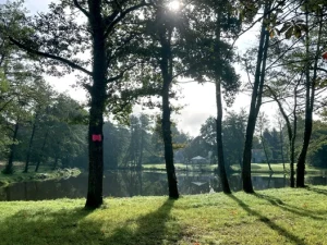 etant-miraud-blanzy-0303261